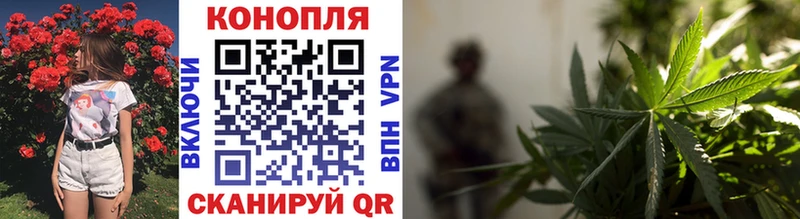 МЕФ Вичуга