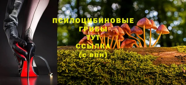 стафф Волосово