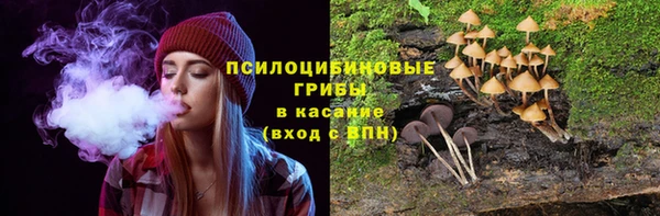 стафф Волосово