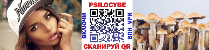 цены наркотик  Вичуга  blacksprut как войти  Псилоцибиновые грибы ЛСД 