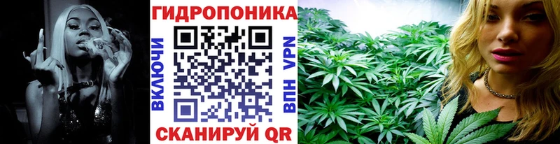 Бошки марихуана конопля  закладки  Вичуга 